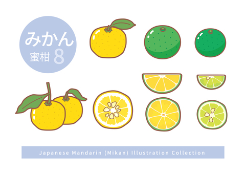 みかんのイラストセット8 みかん,ゆず,すだち,かぼす,断面,種,柑橘,くし切り,葉っぱ,葉付きのイラスト素材