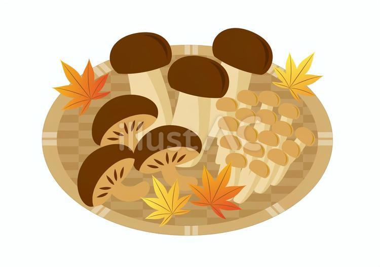 秋の味覚のきのこのセット 秋の味覚,秋,味覚のイラスト素材