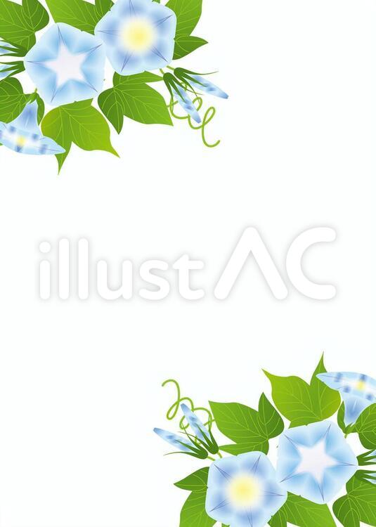 あさがお65 あさがお,花,花びらのイラスト素材