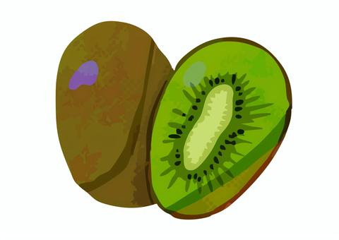 キウイフルーツ 手描き キウイフルーツ 手描き 果物,手描き,かわいい,食べ物,フルーツ,キウイフルーツのイラスト素材