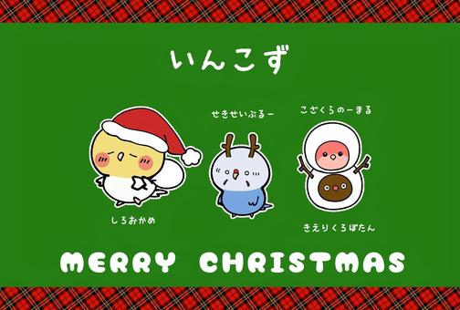 いんこずクリスマスカード 鳥,インコ,かわいい,ペット,手乗り,無料,フリー,素材,カラフル,オカメインコのイラスト素材