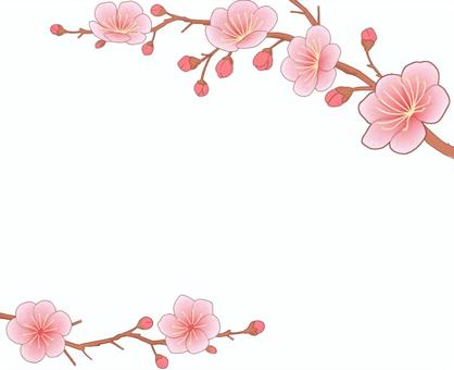 梅の花と枝　上と下 梅,花,枝,桃色,植物,上下,新春のイラスト素材
