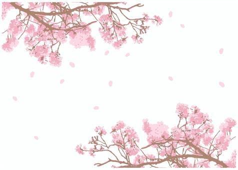Cherry tree background, JPG, PNG and AI Cherry tree background, cherry blossoms, frame, spring, JPG, PNG and AI
