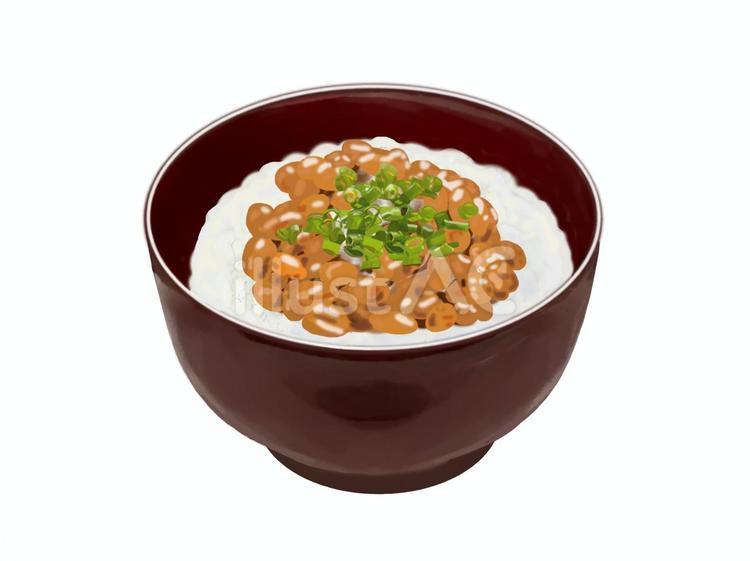納豆ご飯 納豆,ご飯,ごはんのイラスト素材