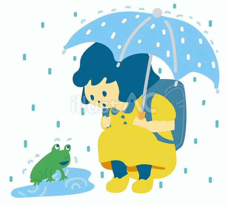 雨の日のカエル 雨,梅雨,カエルのイラスト素材