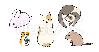 エキゾチックアニマル