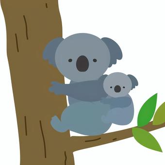 コアラの親子 コアラの親子 コアラ,オーストラリア,動物,サファリ,野生,親子,子ども,赤ちゃん,ユーカリ,木のイラスト素材