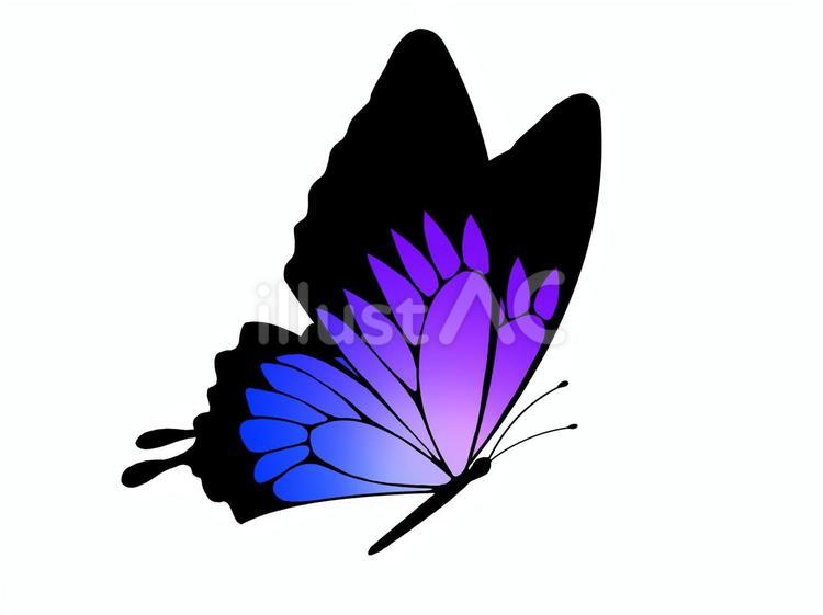 青紫色の横向きの蝶 蝶,バタフライ,虫のイラスト素材