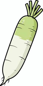 大根 大根,野菜,根菜,白,食品,ベクター,おでんのイラスト素材