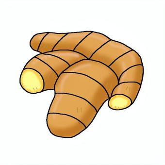 生姜 生姜,食べ物,温活,冬,シンプル,レシピのイラスト素材