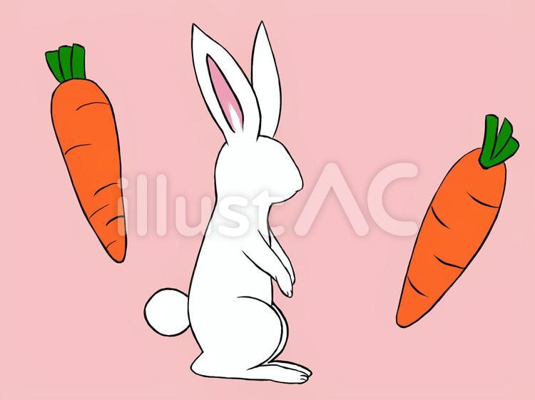 ウサギとニンジン ウサギ,ニンジン,生き物のイラスト素材