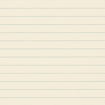 普通のノートの様な横線のみ