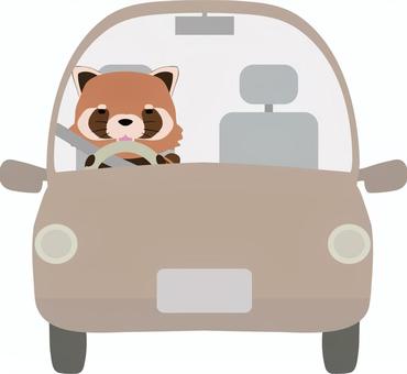 Drive_Red Panda_Smile, JPG 和 PNG Drive_Red Panda_Smile, 手術, 笑臉, 動物, JPG 和 PNG