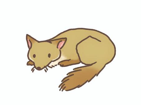 伏せているキツネ キツネ,伏せる,野生,休憩,黄色,動物のイラスト素材