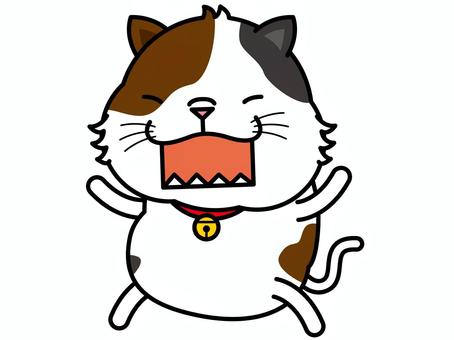 Illustration, cat, san mao cat, animal, 