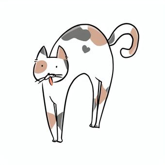 ボニャールポーズの三毛猫 ボニャールポーズの三毛猫 三毛猫,動物,可愛いのイラスト素材