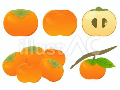 柿 イラスト セット