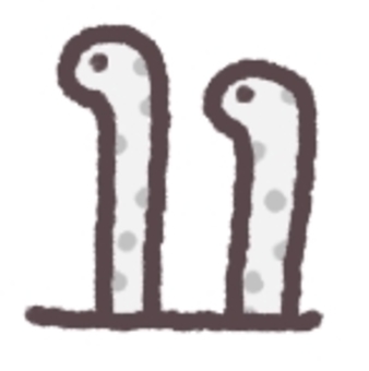 チンアナゴ チンアナゴ チンアナゴ,生き物,手書き,ゆるい,かわいいのイラスト素材