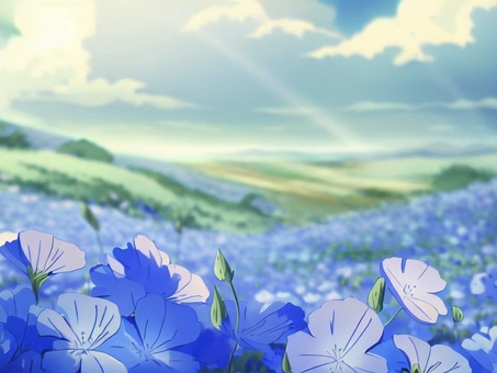 Nemophila, JPG Nemophila, , JPG