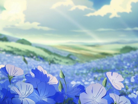 Nemophila, nemophila, flower garden, light blue, JPG