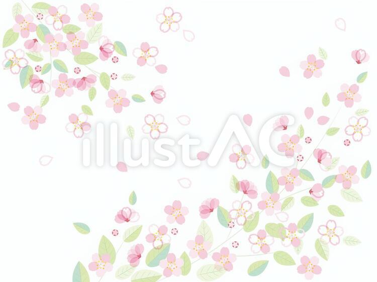 桜のフレーム6 春,花,桜のイラスト素材