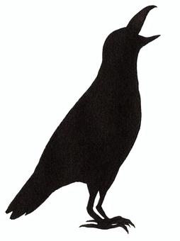 Crow 10, JPG and PNG Crow 10, crow, bird, creatures, JPG and PNG
