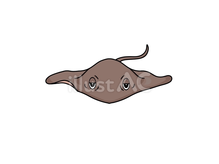 エイ エイ,魚,生き物のイラスト素材