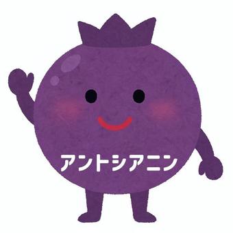 アントシアニン アントシアニン,ポリフェノール,抗酸化作用,目の疲労回復,がん予防,植物色素のイラスト素材