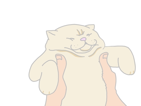 Obese cat, JPG and PNG Obese cat, cat, obesity, diet, JPG and PNG