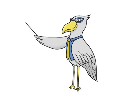 授業や講義で教える鳥のハシビロコウ ハシビロコウ,鳥,羽,くちばし,翼,講義,授業,バード,野鳥,生き物のイラスト素材