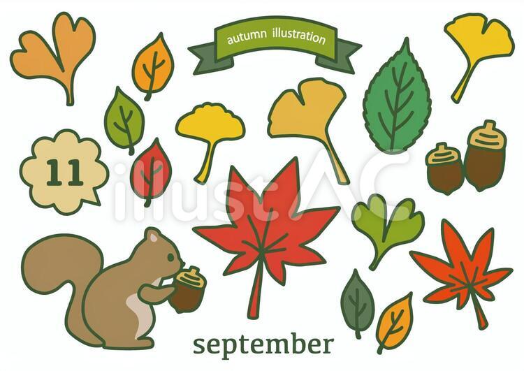 11月 秋,紅葉,リスのイラスト素材