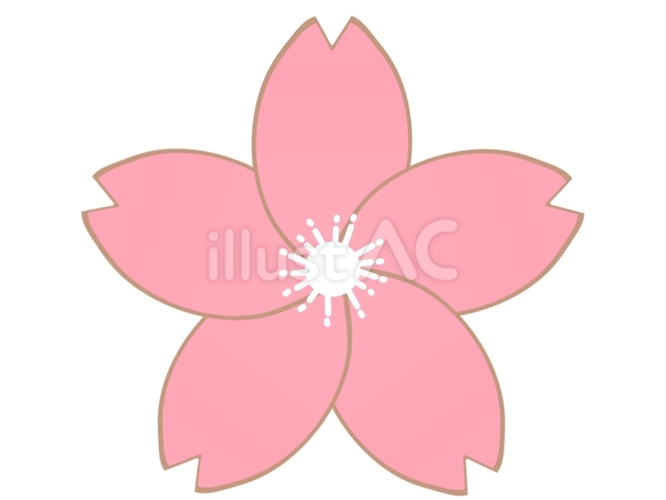 桜の花13 桜,花,春のイラスト素材