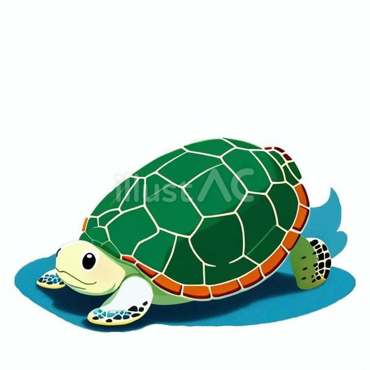 ウミガメ ウミガメ,亀,爬虫類のイラスト素材