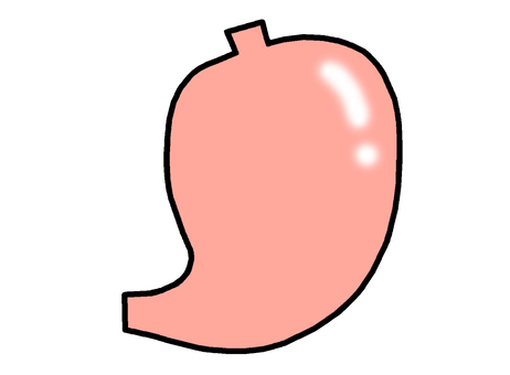 胃 胃,臓器,消化,袋状,胃液,貯蔵,胃がん,胃潰瘍,胃炎,イラストのイラスト素材