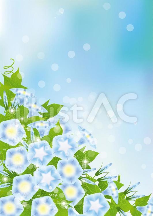 青空＆青い朝顔38 あさがお,花,花びらのイラスト素材