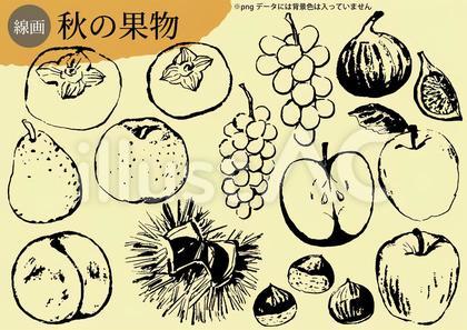 秋の果物