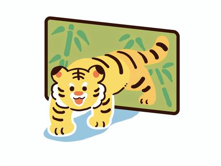 屏風から出てくる虎 猛獣,黄色,生き物,出現,とら,トラ,寅,虎,正月,寅年のイラスト素材