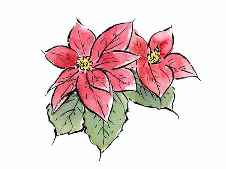 絵手紙風の赤いポインセチア ポインセチア,花,植物,冬,クリスマス,12月,赤,葉,絵手紙,植木のイラスト素材