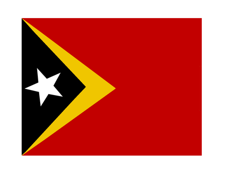 東ティモール 東ティモール,国旗,掲揚,軍旗,弔旗,イラストのイラスト素材