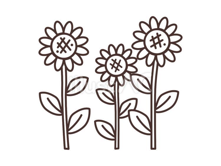 かわいいひまわりの線画イラスト ひまわり,白黒,モノクロのイラスト素材