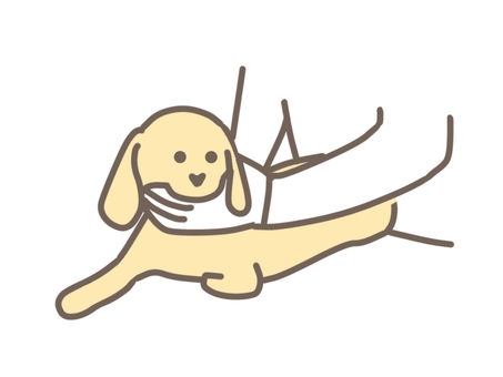 保定されるダックスフンド 動物,ペット,犬,猫,獣医,獣医師,治療,動物病院,かわいい,ダックスフンドのイラスト素材