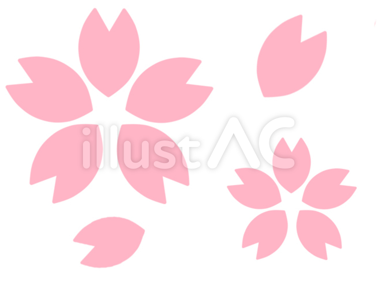 さくら花びら（薄） さくら,桜,花のイラスト素材