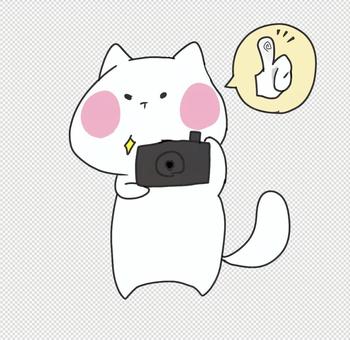 Illustration, shooting, cat, simple, 