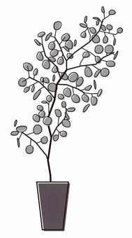Foliage plant, JPG, PNG and AI Foliage plant, tiny, fashionable, line drawing, JPG, PNG and AI