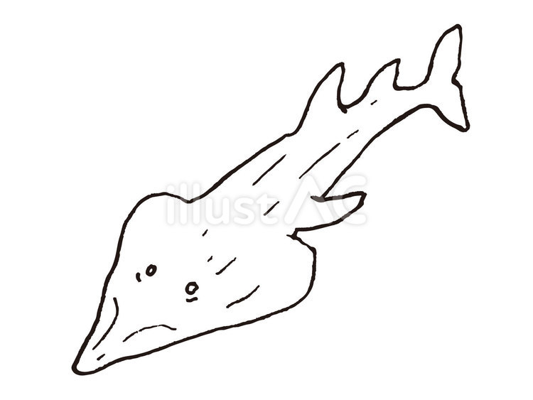 サカタザメ（手書き風） サカタザメ,エイ,ギターフィッシュのイラスト素材
