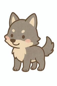 可愛いオオカミ