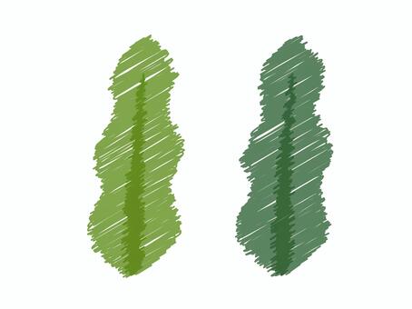 Cute seaweed handwritten style, JPG, PNG and EPS Cute seaweed handwritten style, , JPG, PNG and EPS