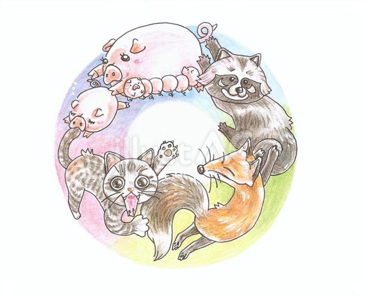 ぶた、たぬき、きつね、ねこのしりとり 動物,子ブタ,ぶたのイラスト素材