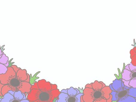 Illustration, anemones, frame, flower, 