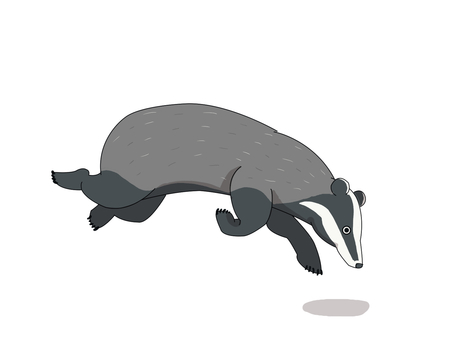 ヨーロッパアナグマ（走る） ヨーロッパアナグマ,アナグマ,ヨーロッパ,動物,走るのイラスト素材